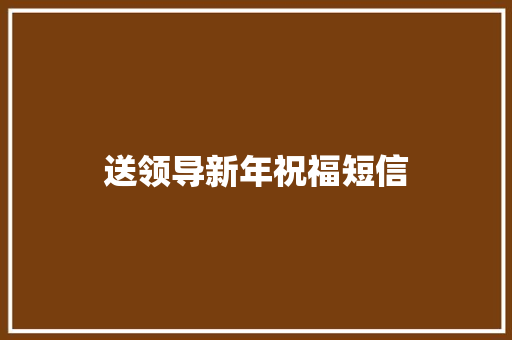 送领导新年祝福短信