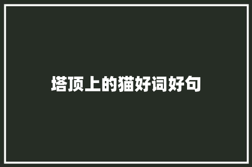 塔顶上的猫好词好句