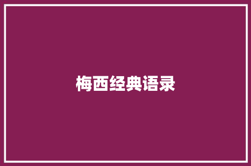 梅西经典语录