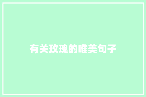 有关玫瑰的唯美句子