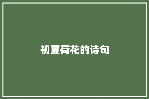 初夏荷花的诗句