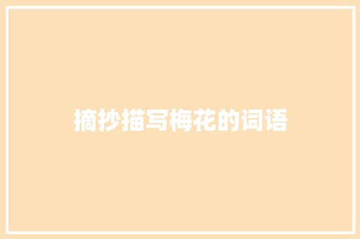 摘抄描写梅花的词语