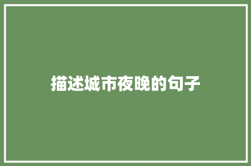 描述城市夜晚的句子