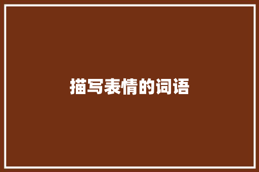 描写表情的词语