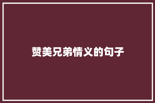 赞美兄弟情义的句子