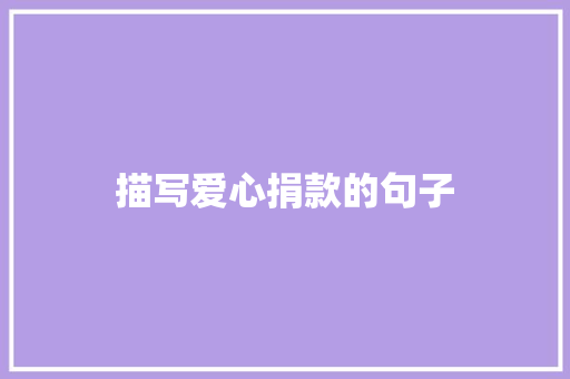 描写爱心捐款的句子