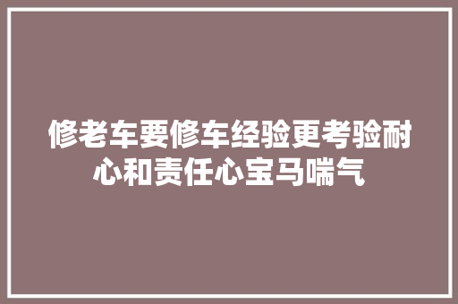 修老车要修车经验更考验耐心和责任心宝马喘气 汽车知识