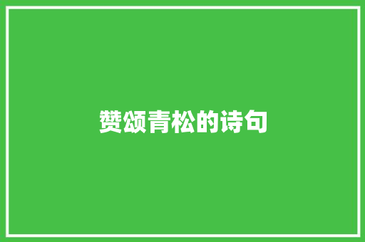 赞颂青松的诗句
