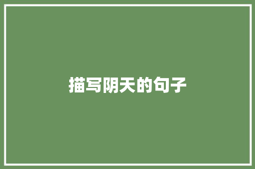 描写阴天的句子