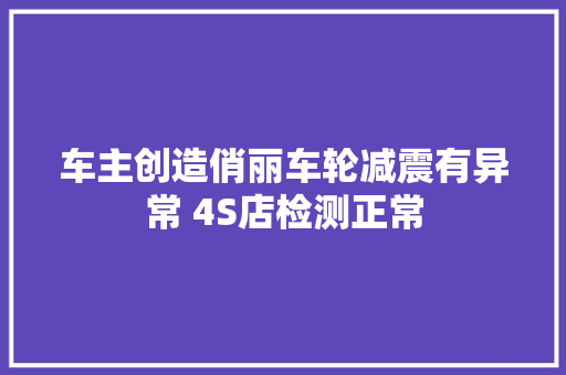 车主创造俏丽车轮减震有异常 4S店检测正常 汽车知识