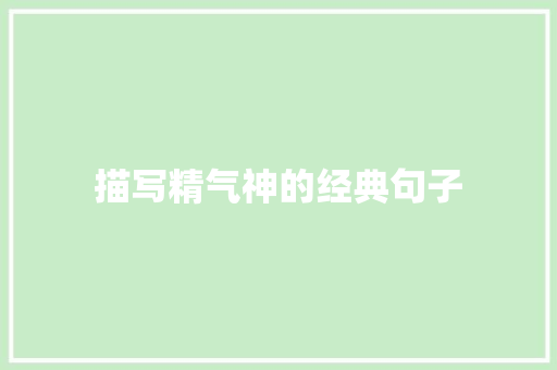 描写精气神的经典句子