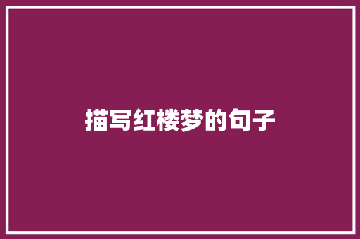 描写红楼梦的句子