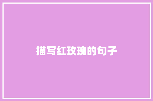 描写红玫瑰的句子