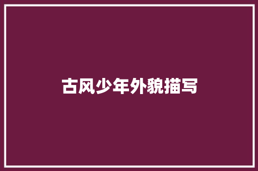 古风少年外貌描写