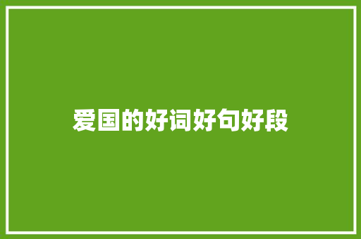 爱国的好词好句好段