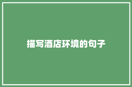描写酒店环境的句子