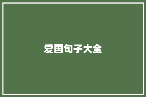 爱国句子大全
