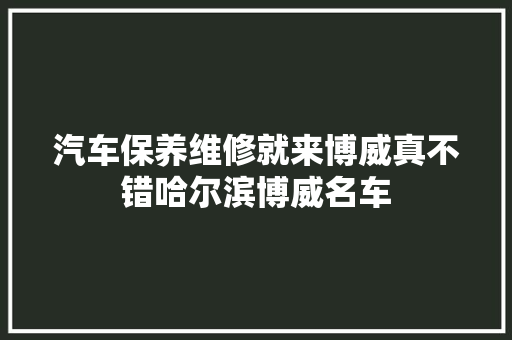 汽车保养维修就来博威真不错哈尔滨博威名车