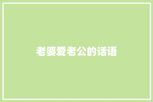 老婆爱老公的话语