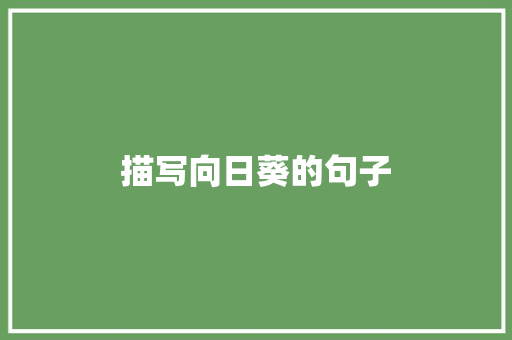 描写向日葵的句子