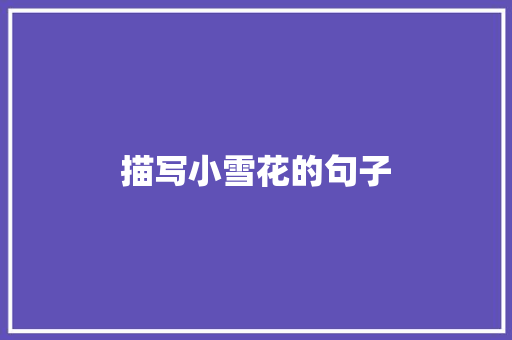 描写小雪花的句子