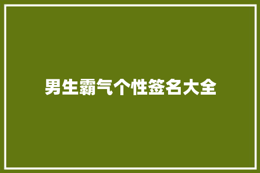 男生霸气个性签名大全