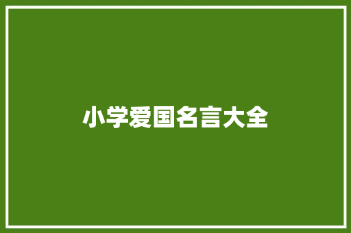 小学爱国名言大全