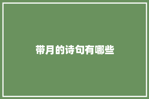 带月的诗句有哪些