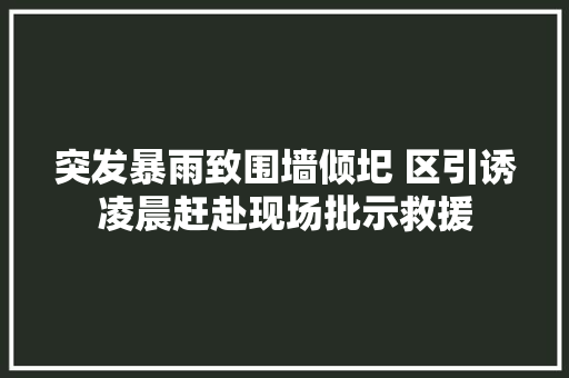 突发暴雨致围墙倾圯 区引诱凌晨赶赴现场批示救援 汽车知识
