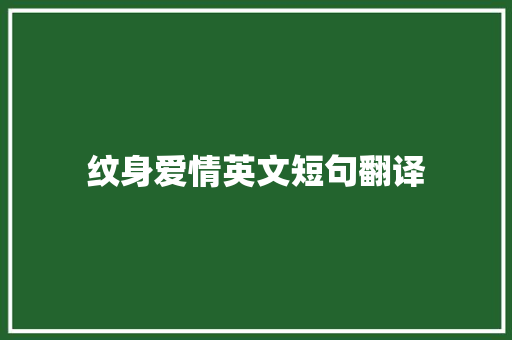 纹身爱情英文短句翻译