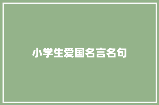 小学生爱国名言名句