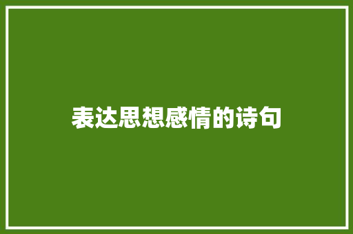 表达思想感情的诗句