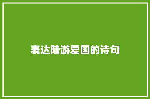 表达陆游爱国的诗句