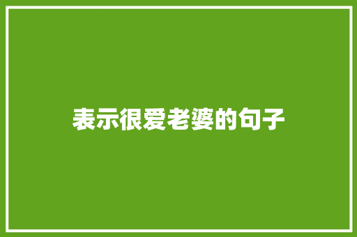 表示很爱老婆的句子