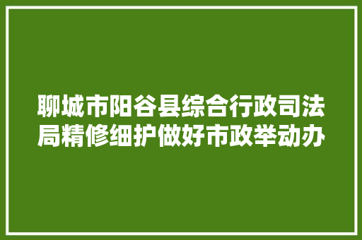 聊城市阳谷县综合行政司法局精修细护做好市政举动办法掩护工作