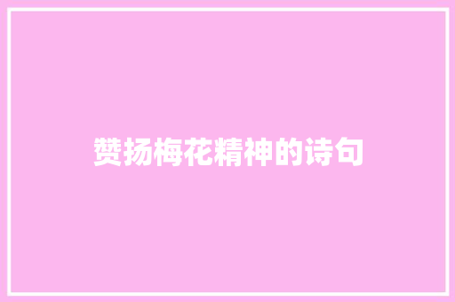 赞扬梅花精神的诗句
