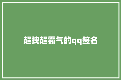 超拽超霸气的qq签名