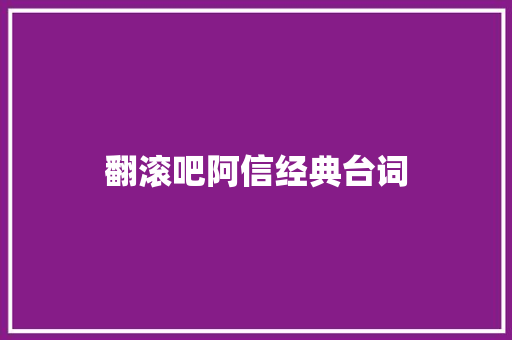 翻滚吧阿信经典台词