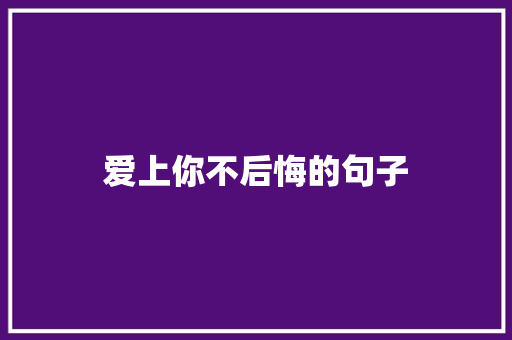 爱上你不后悔的句子