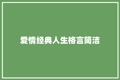 爱情经典人生格言简洁