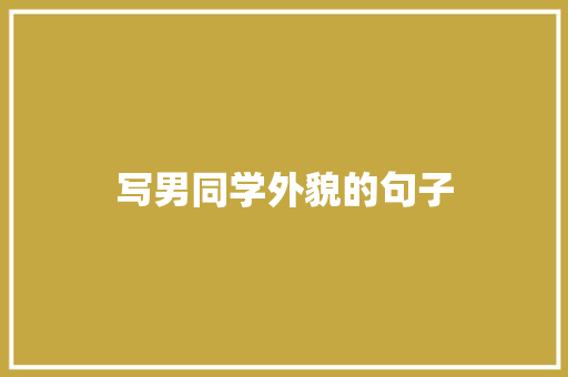 写男同学外貌的句子