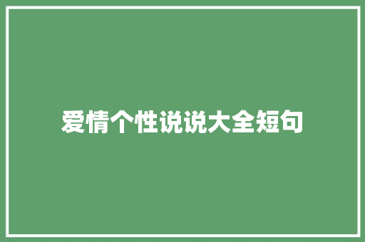 爱情个性说说大全短句