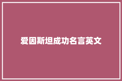 爱因斯坦成功名言英文