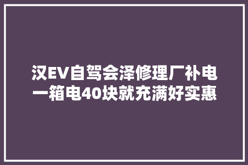 汉EV自驾会泽修理厂补电一箱电40块就充满好实惠