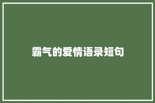 霸气的爱情语录短句