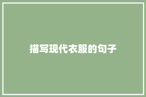 描写现代衣服的句子