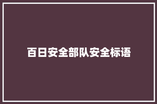 百日安全部队安全标语