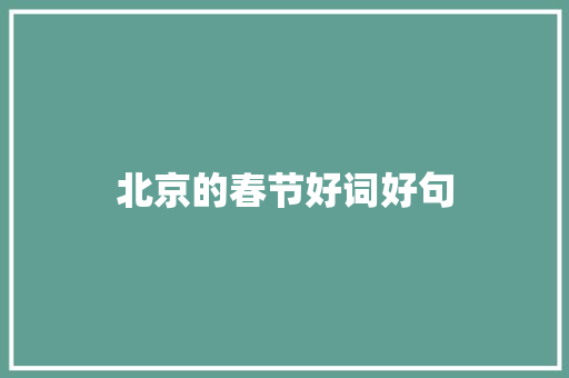 北京的春节好词好句