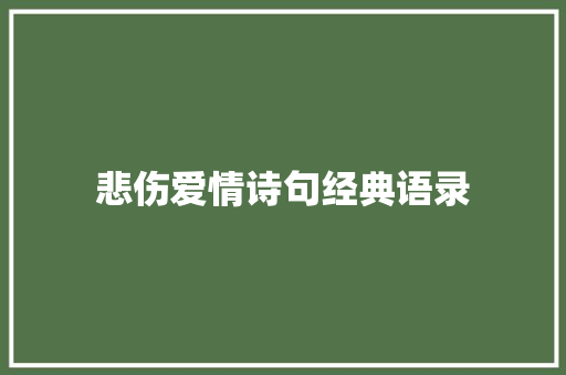 悲伤爱情诗句经典语录