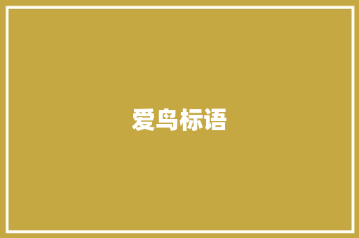 爱鸟标语